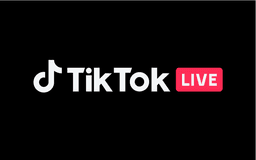 TikTok 1130 Coins